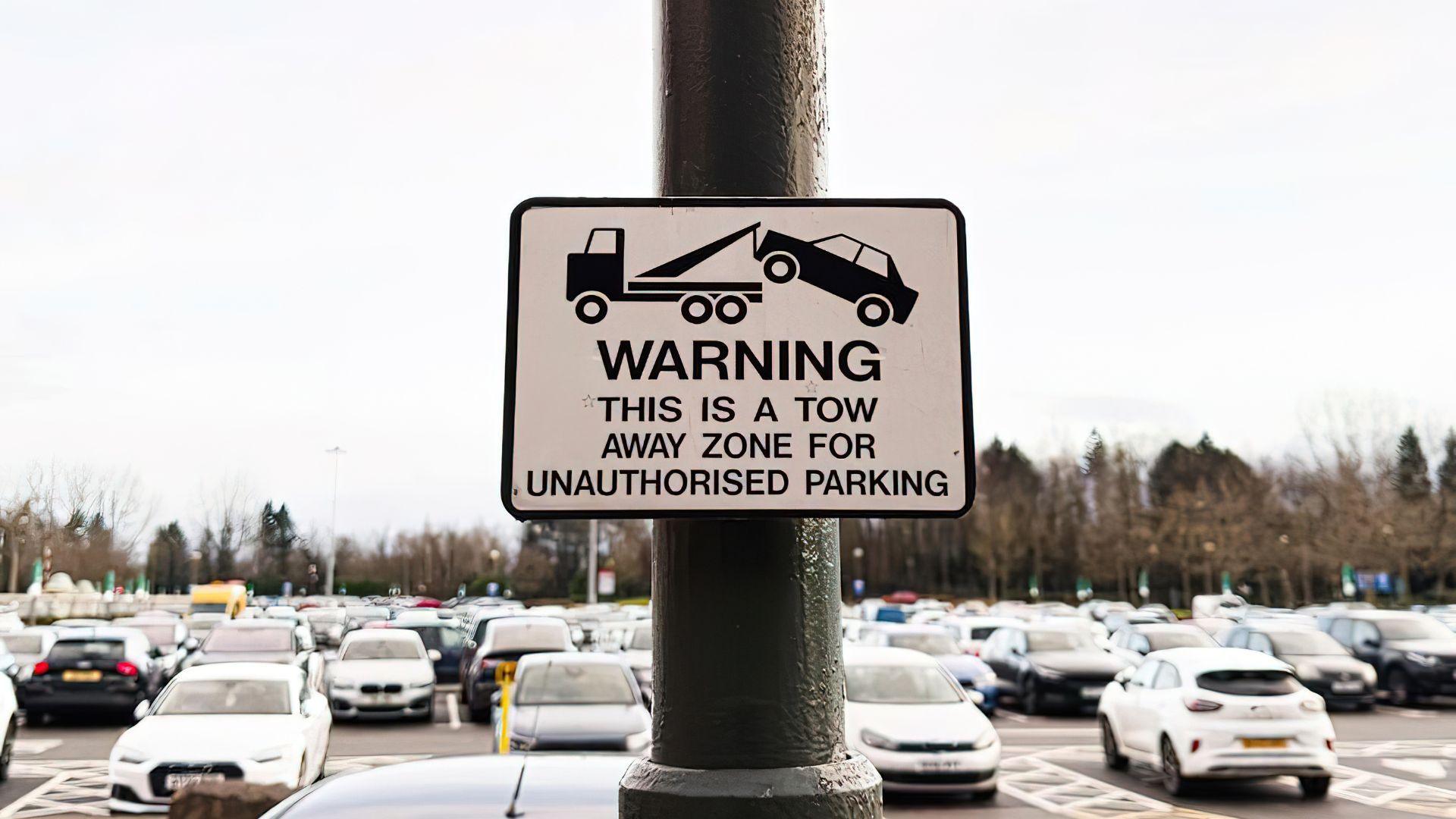 What Maricopa Property Managers Should Know About Unauthorized Parking and Vehicle Removal